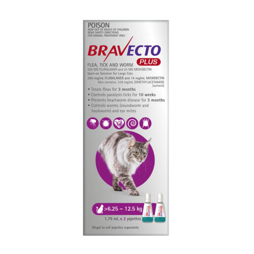 Bravecto Plus Purple Spot-On for Large Cats - 2 Pack